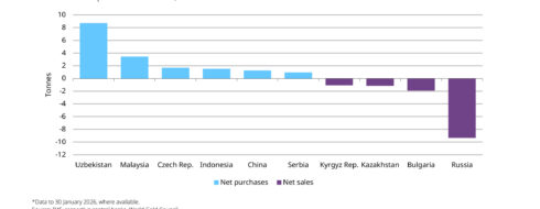 Central Banks Gold Statistics Jan 2026-2